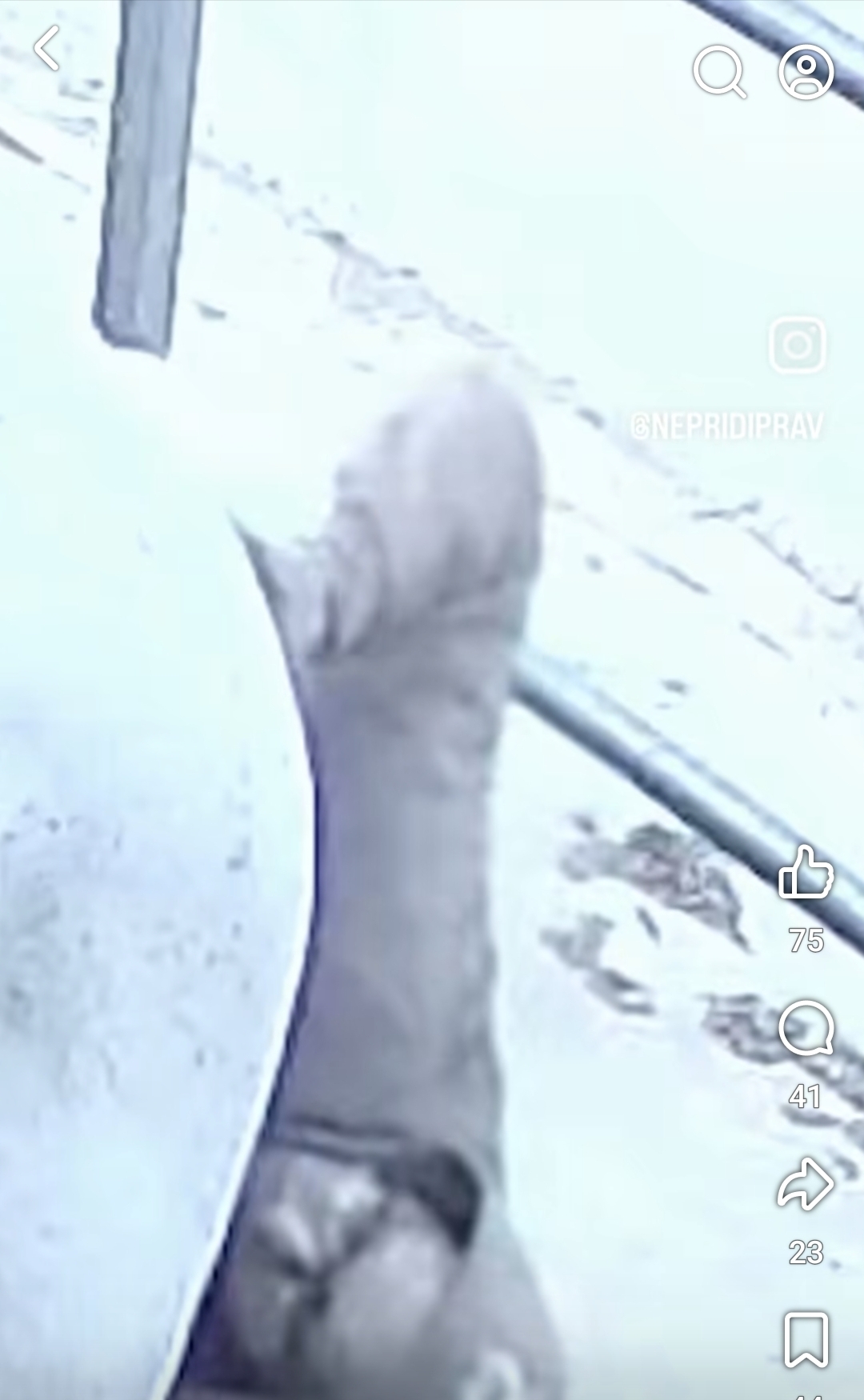 1000024461.jpg