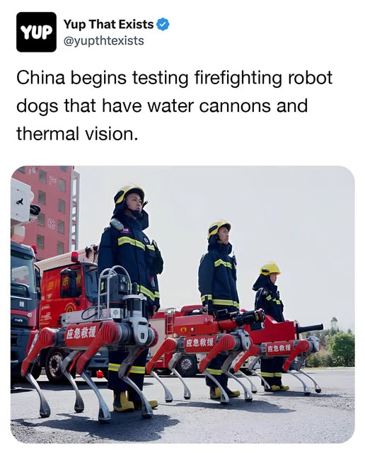 1747730981541.png