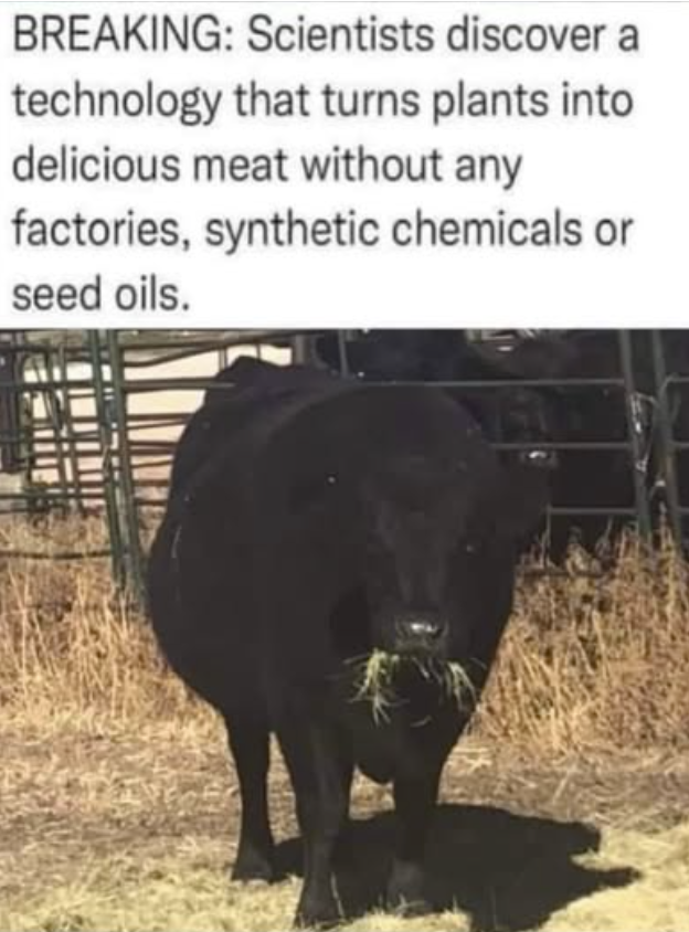 1754042107834.png