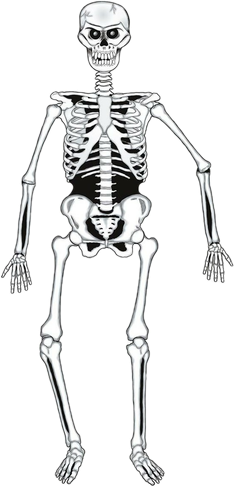1784142035585.png
