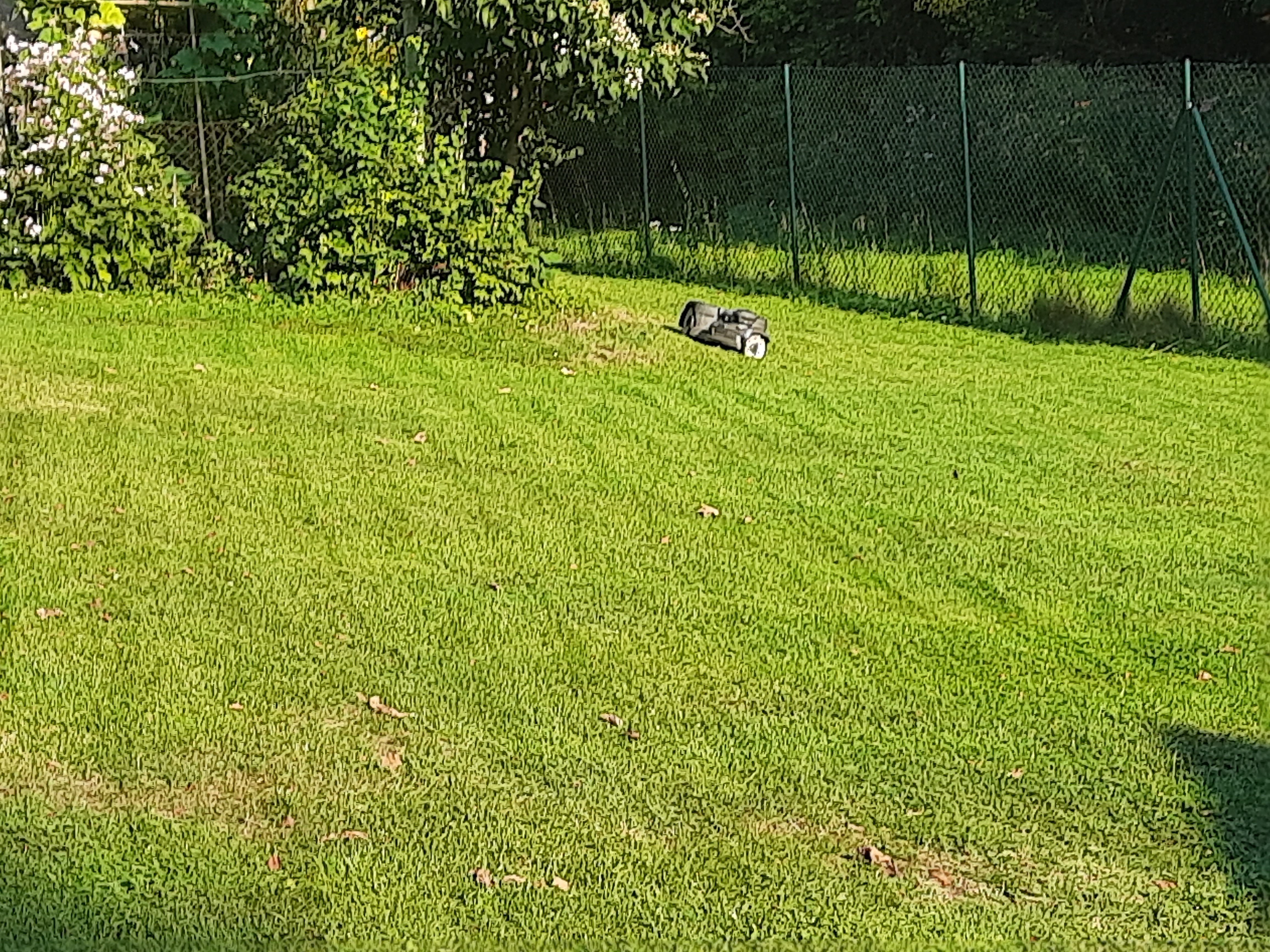 20250905_173914.jpg