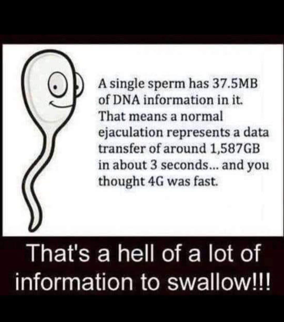 502564461_10234957590974660_7224059168378657401_n.jpg