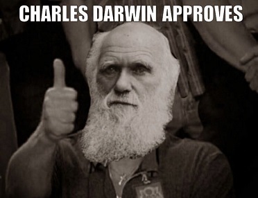 DarwinApproves.jpg
