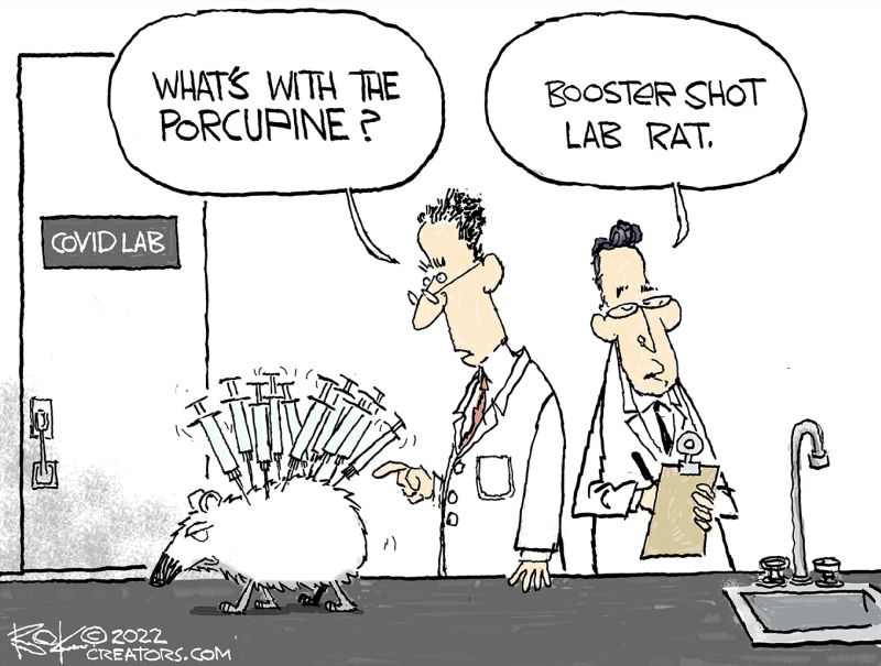 lab rat.jpg