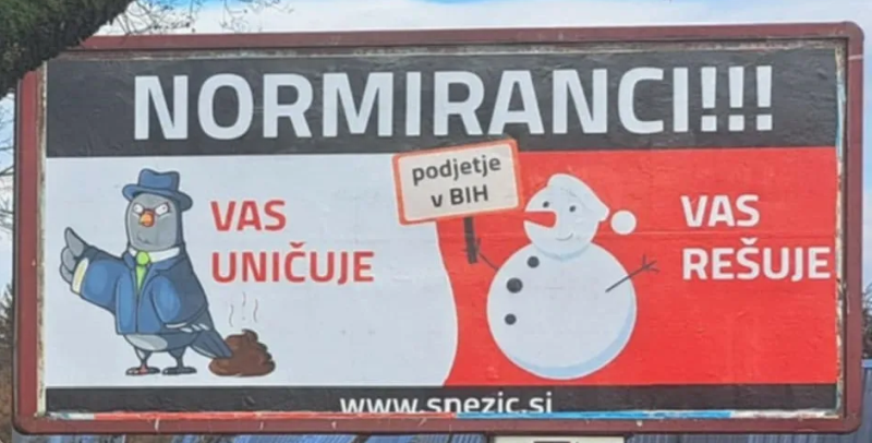 normiranci golob snezic.png