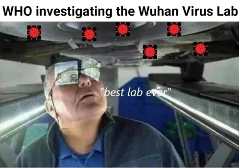 WhoWuhanInvestigation.jpg