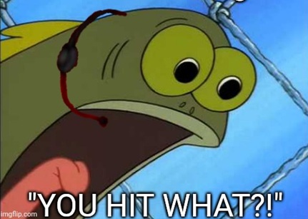 YouHitWhat.jpg