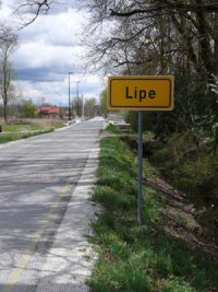 lipe_omejitev_1.jpg