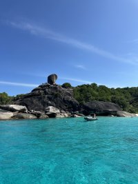 IMG_3910.jpeg