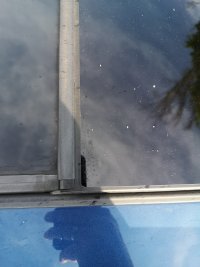 IMG_20260510_075526.jpg