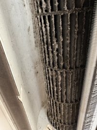 IMG_5334 – srednji format.jpeg