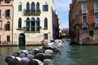 2279397-Muslims-in-Venice.jpg