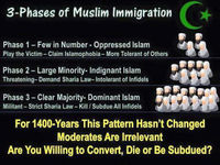 2388811-3phasesofmuslimintegration.jpg