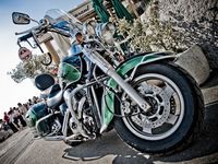 318207-Harley.jpg