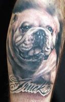 1034511-english-bulldog-tattoo-m.jpg